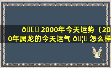 💐 2000年今天运势（2000年属龙的今天运气 🦊 怎么样）